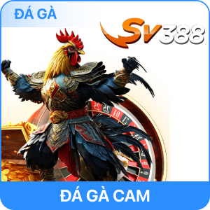 Đá gà 789BET